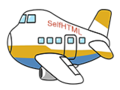 Flugzeug.png