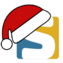 SELF-Logo mit Nikolausmütze